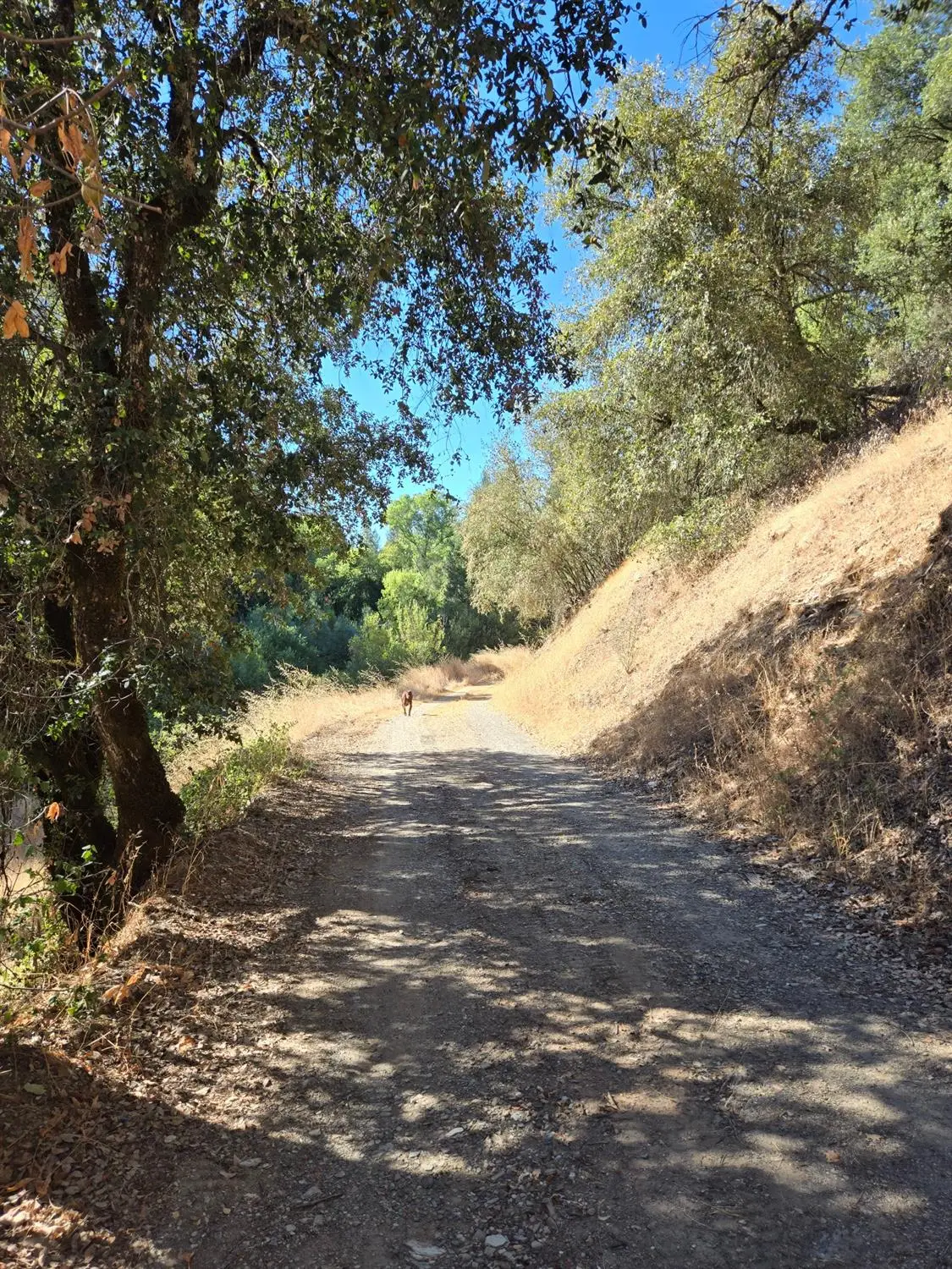 0 Greenwood Road, Garden Valley, CA 95633 - Image #1