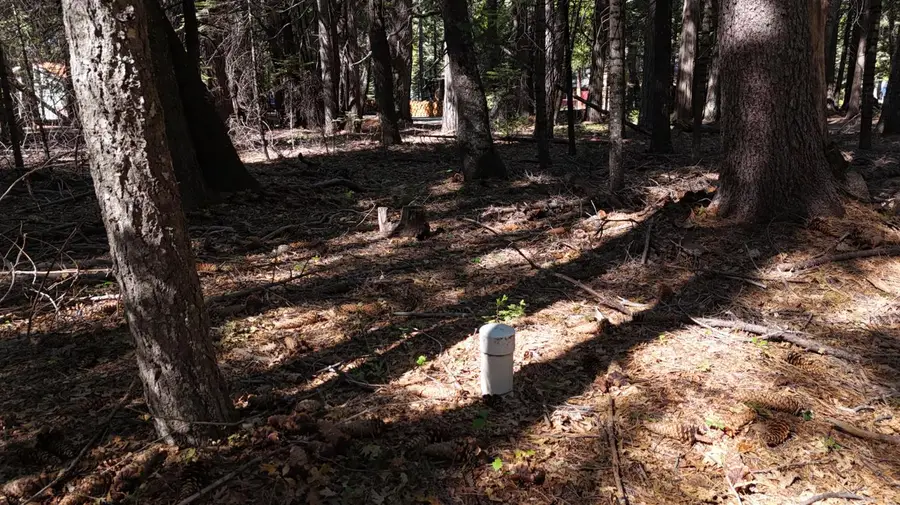 750 Hideaway Loop, Alta, CA 95701 - Image #2