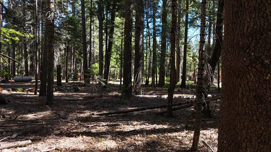 750 Hideaway Loop, Alta, CA 95701 - Image #3