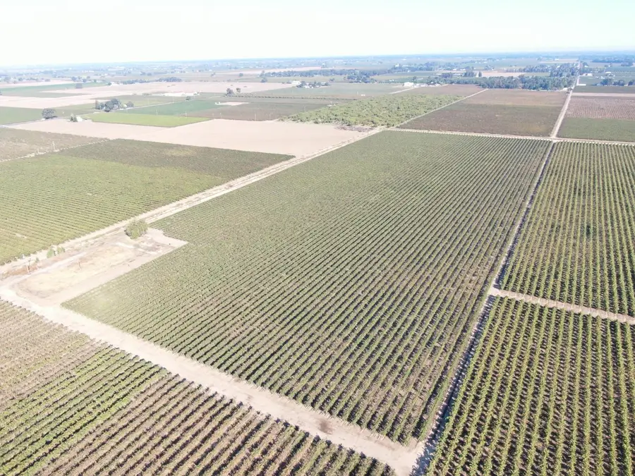 931 W Sargent Road, Lodi, CA 95242 - Image #3