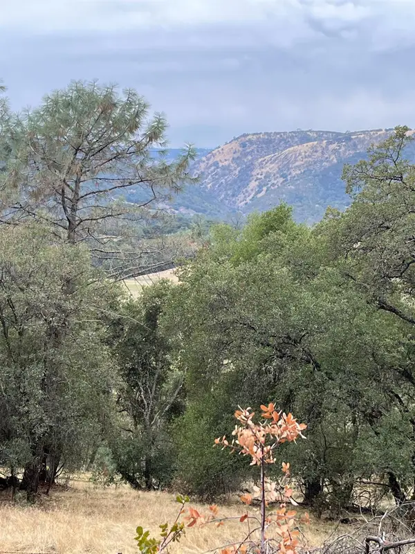 7902 Campo Seco Turnpike, Mokelumne Hill, CA 95245