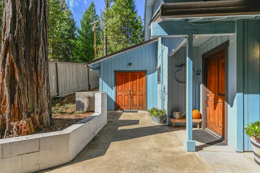 16910 Mckenzie Drive, Pioneer, CA 95666 - Image #3