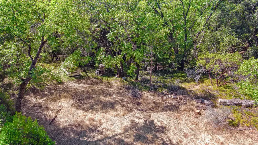 2220 Lookout Mountain Drive, Camino, CA 95709 - Image #3