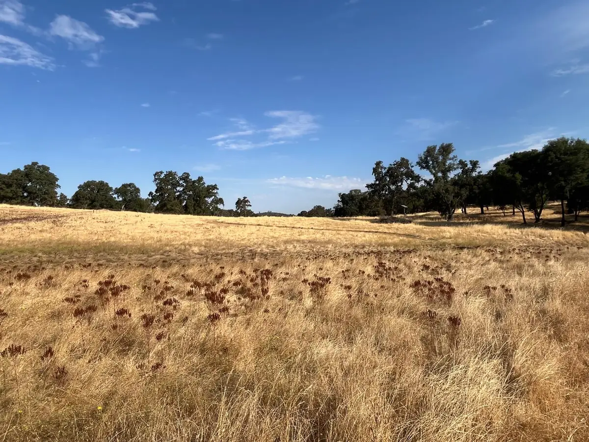 29600 Mccourtney Road, Wheatland, CA 95692 - Image #1