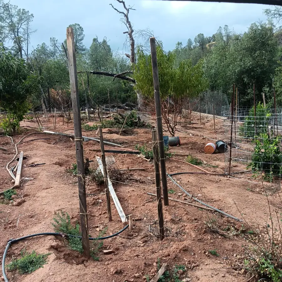 17795 Duck Canyon Rd, Igo, CA 96047 - Image #3