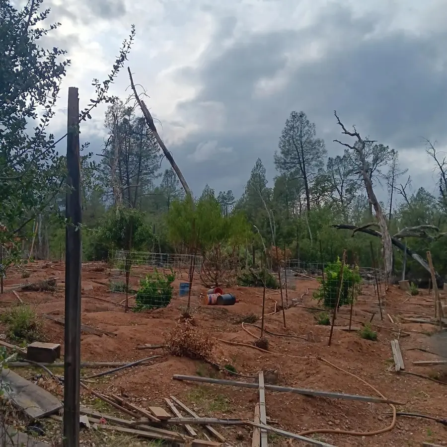 17895 Duck Canyon Road, Igo, CA 96047 - Image #2