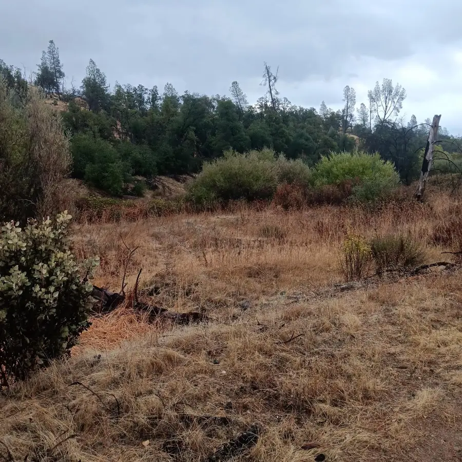 17895 Duck Canyon Road, Igo, CA 96047 - Image #3