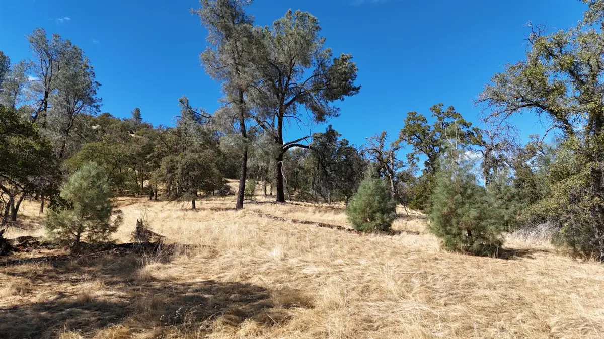 9816 Deer Hollow Trail, Browns Valley, CA 95918 - Image #1