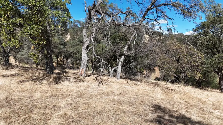 9816 Deer Hollow Trail, Browns Valley, CA 95918 - Image #3