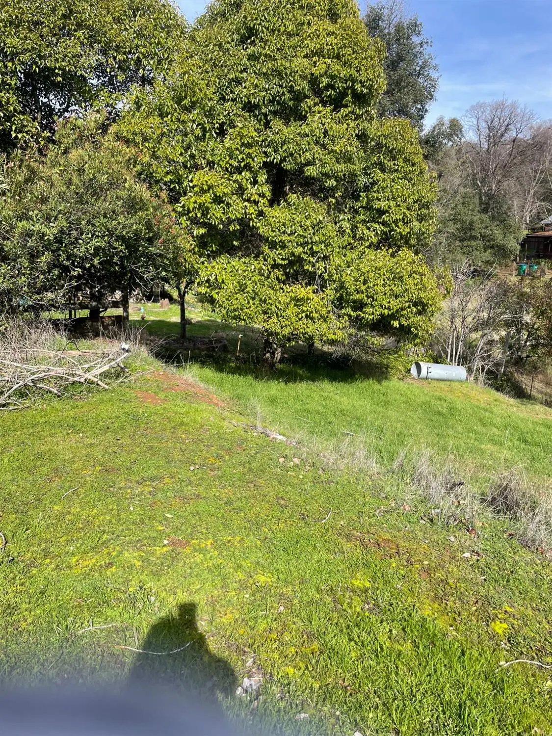 19525 Rogers Road, Sonora, CA 95370 - #1