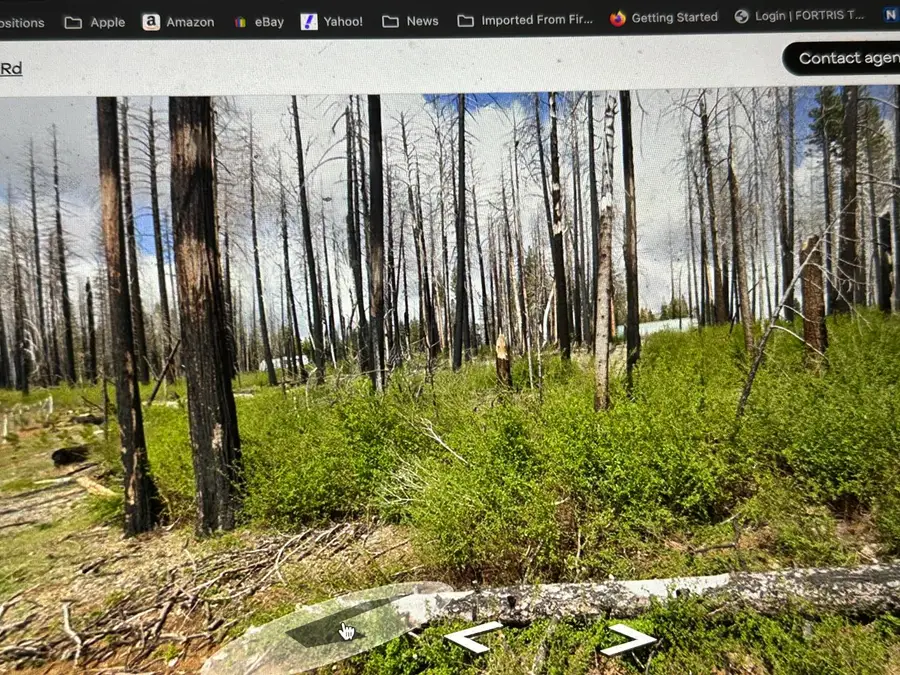 7148 Capps Crossing Road, Grizzly Flats, CA 95636 - Image #2