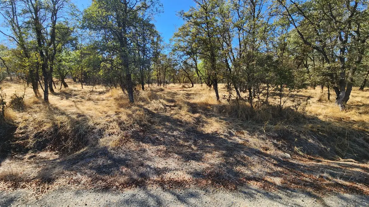 0 019-080-0240 Castano Way, Coulterville, CA 95311 - Image #1