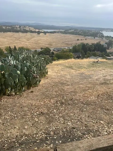 4160 Quail Hill Court, Ione, CA 95640 - Image #2