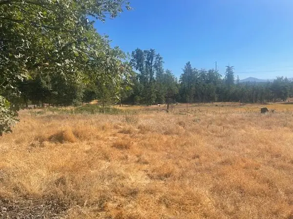 9728 Ernst Road, Coulterville, CA 95311