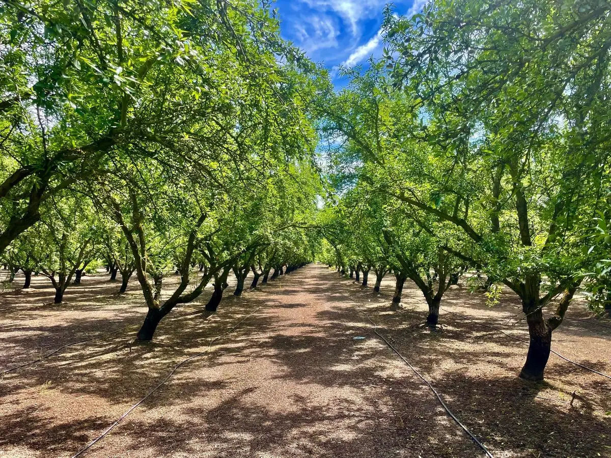 0 Blue Gum Avenue, Modesto, CA 95358 - #1