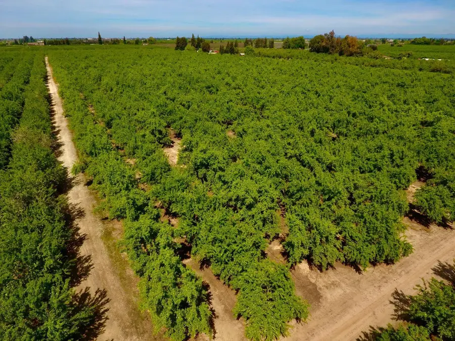 0 Blue Gum Avenue, Modesto, CA 95358 - #2