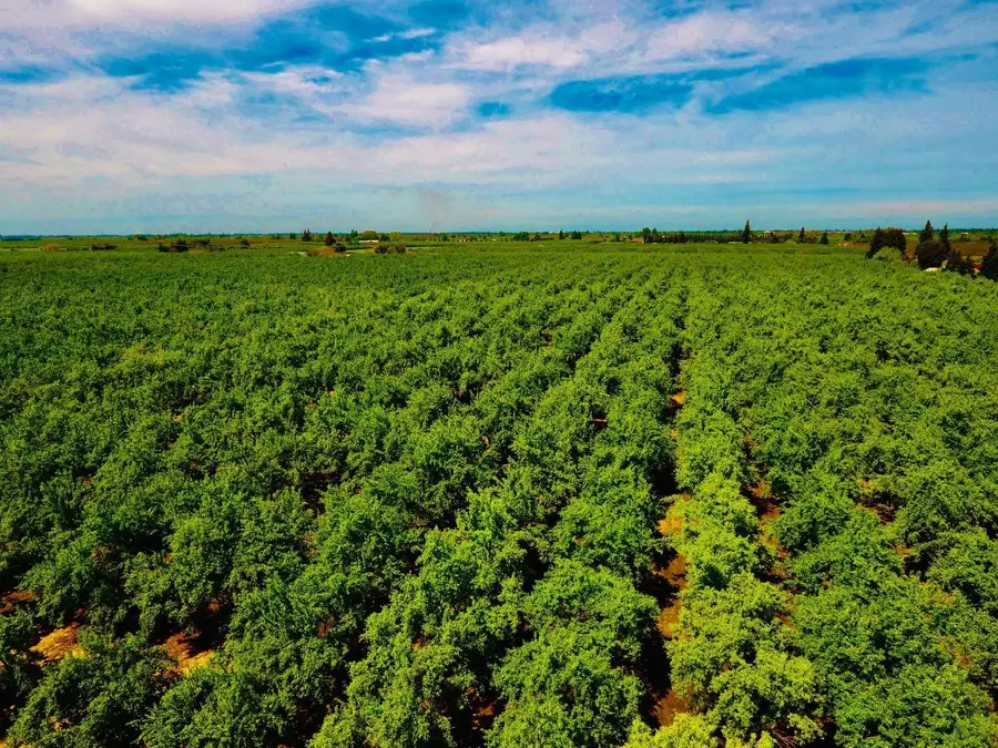 0 Blue Gum Avenue, Modesto, CA 95358 - #3