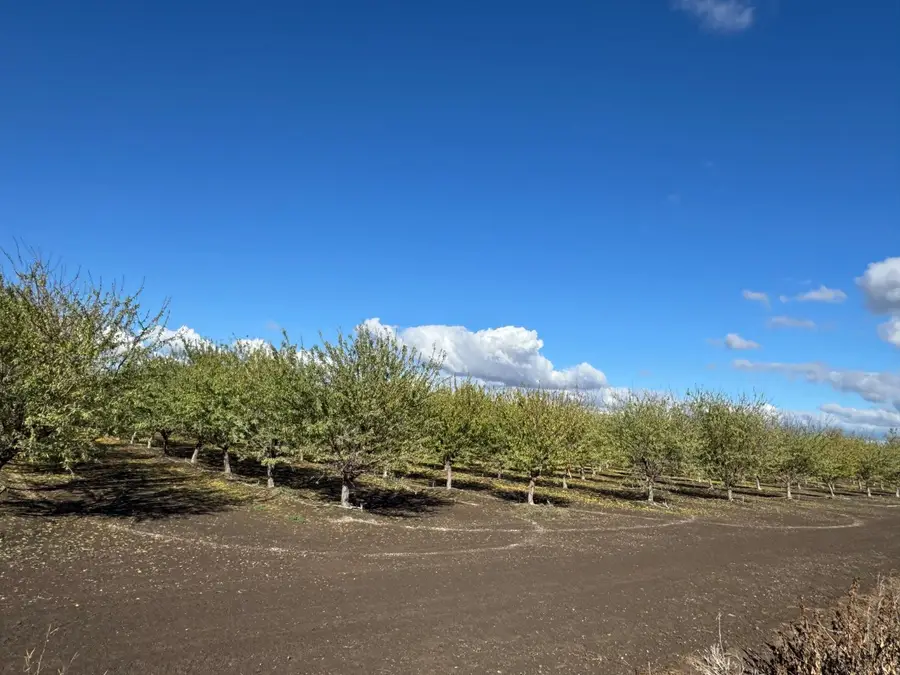 0 Striplin Road, Pleasant Grove, CA 95668 - Image #3