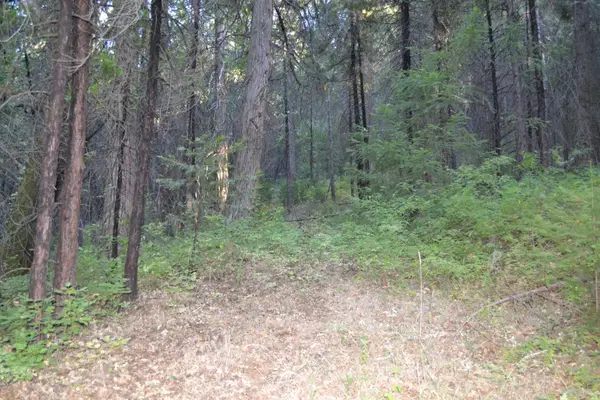 0 Lodestone Road, Somerset, CA 95684