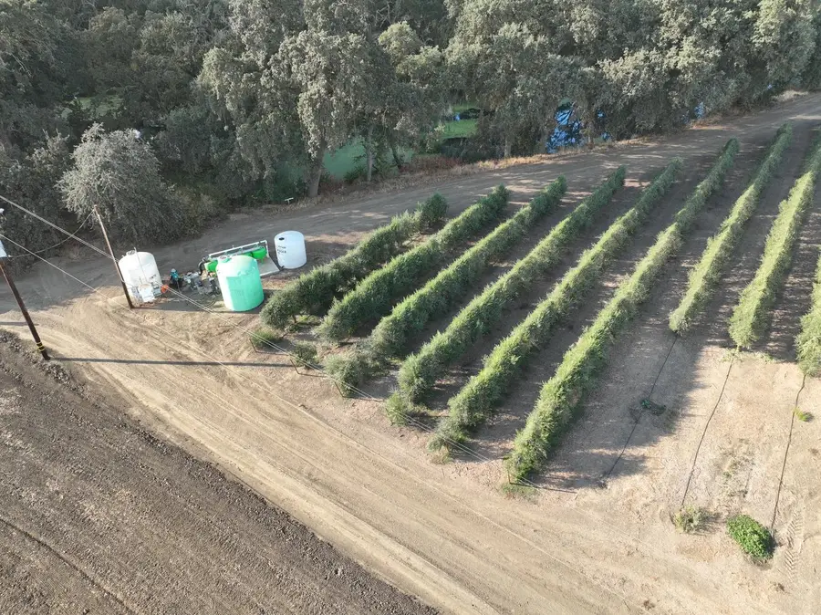 20456 County Road 103, Woodland, CA 95776 - Image #3