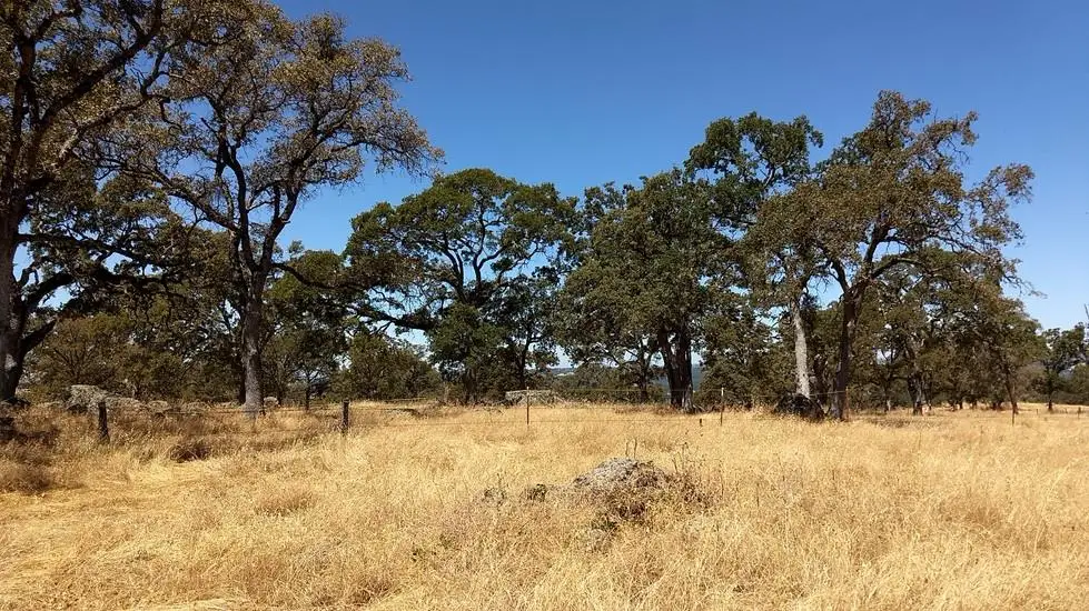 2 Crystal Boulevard, El Dorado, CA 95623 - Image #1