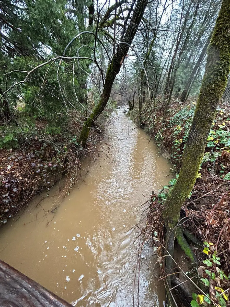 9398 Yuba Ranch Way, Oregon House, CA 95962 - #3