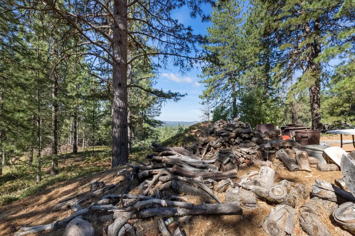 25251 Canterbury Road, Pioneer, CA 95666 - Image #1