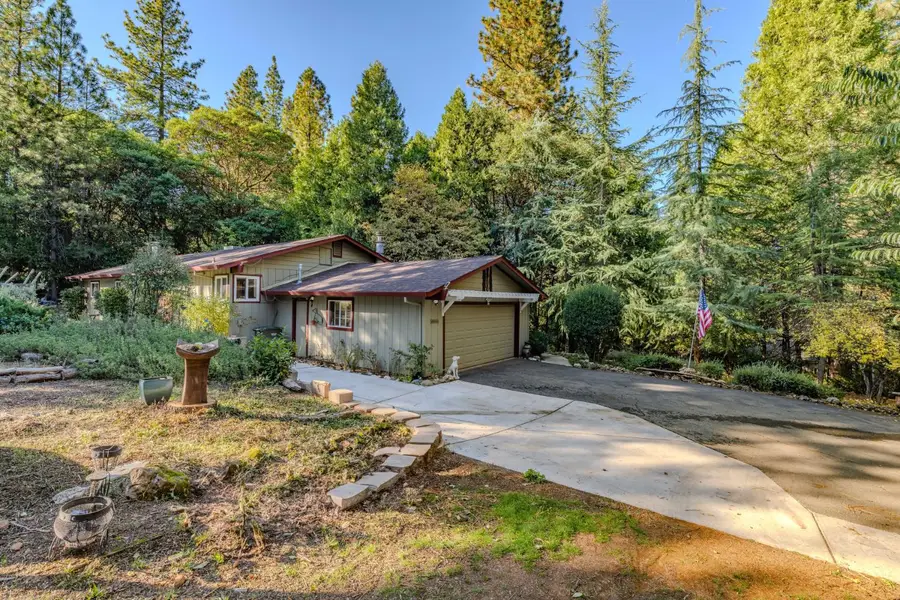 23420 Robin Road, Pioneer, CA 95666 - Image #3