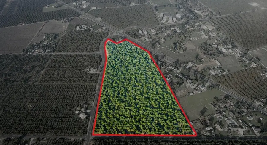 10221 E Baker Road, Stockton, CA 95215 - Image #3