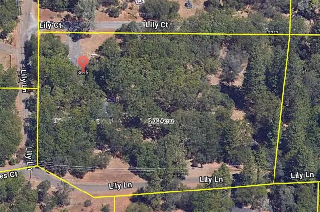 3695 Lily Lane, Shingle Springs, CA 95682 - Image #3