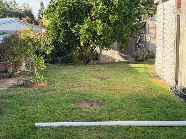 238 Bluebird Lane, Folsom, CA 95630 - Image #3