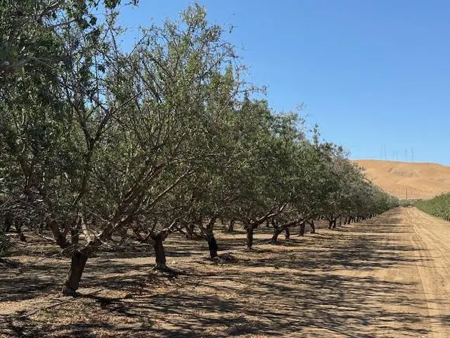 0 Hwy 5, Patterson, CA 95363 - Image #1