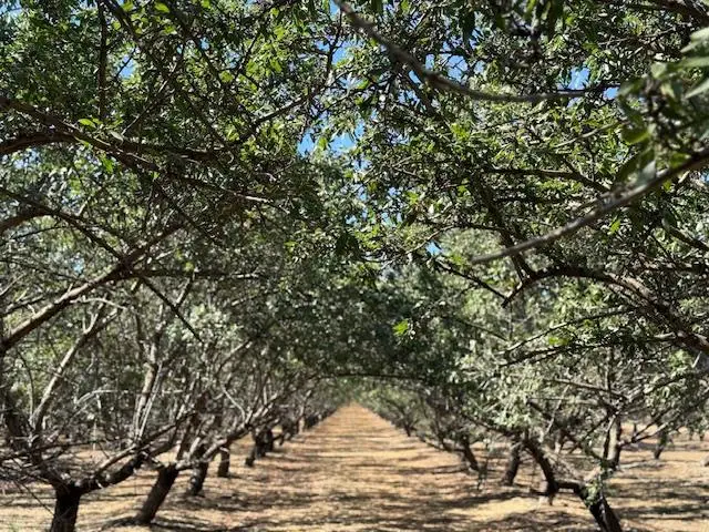 0 Hwy 5, Patterson, CA 95363 - Image #2