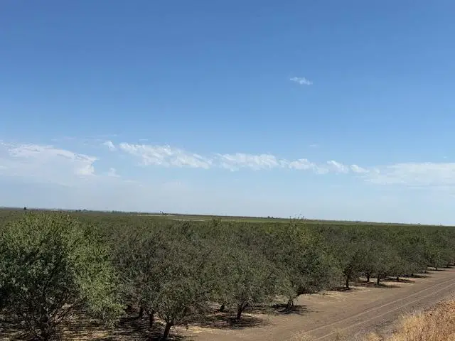 0 Hwy 5, Patterson, CA 95363 - Image #3