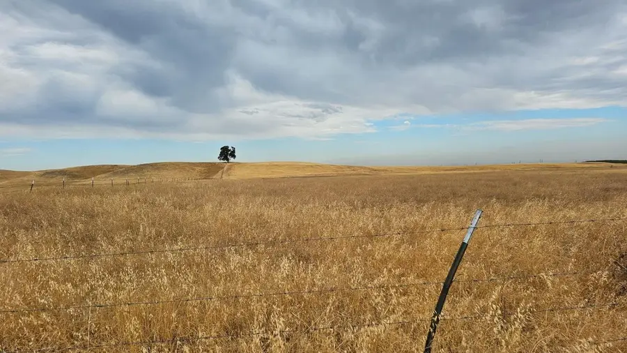 11 W County Road 11, Dunnigan, CA 95937 - Image #2