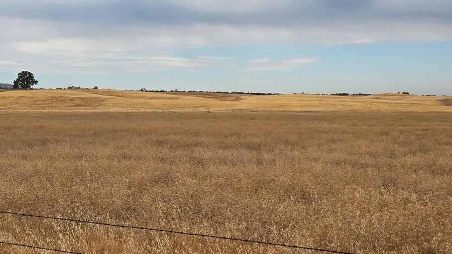 11 W County Road 11, Dunnigan, CA 95937 - Image #3