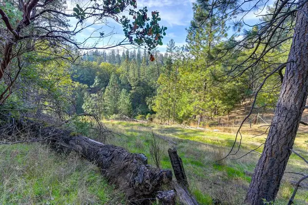 26355 Barb Wire Lane, Colfax, CA 95713