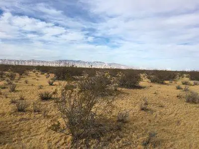 9990 W 55th Street, Mojave, CA 95301 - Image #2