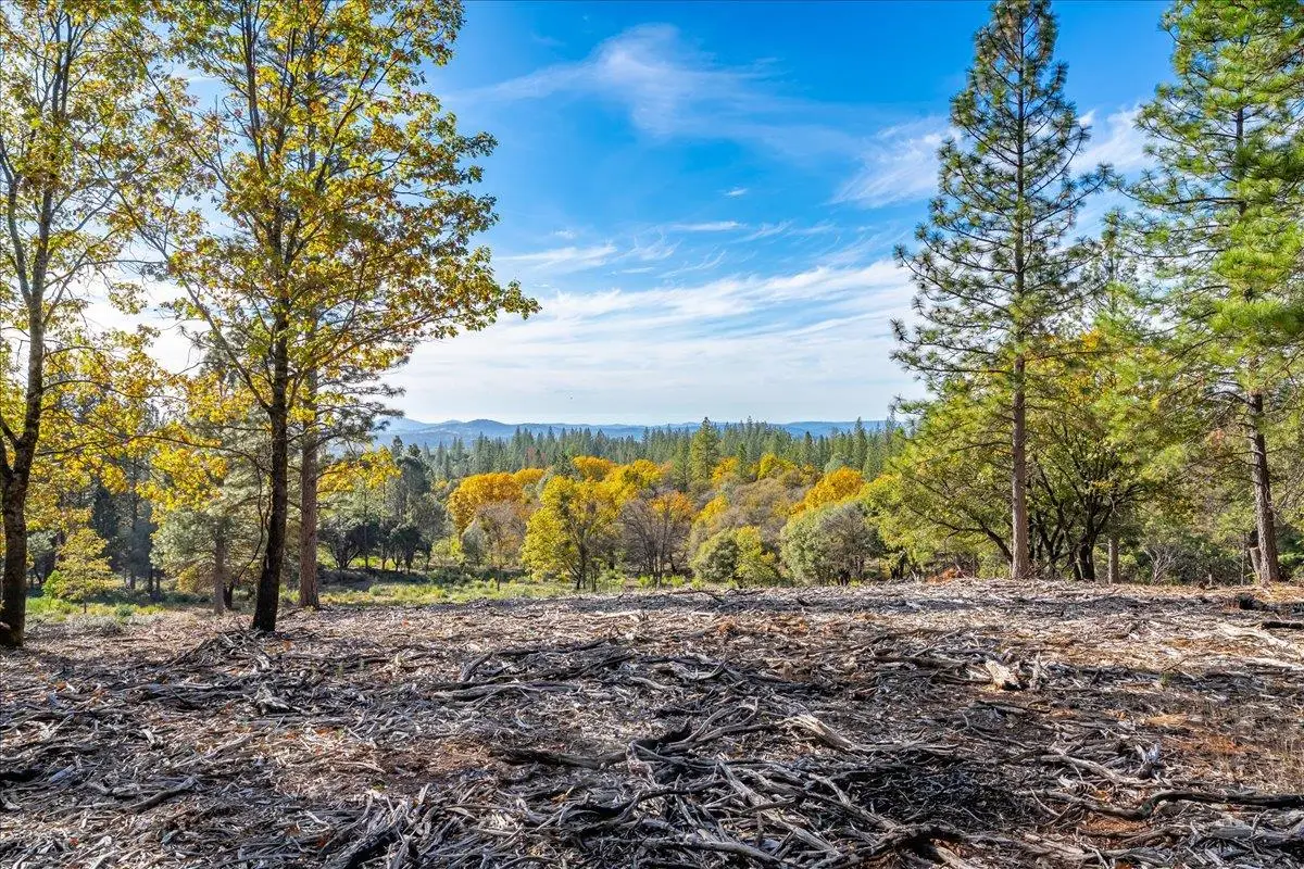 6533 Shoo Fly Road, Placerville, CA 95667 - Image #1