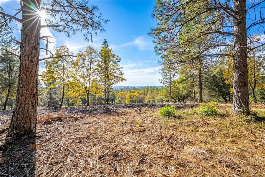 6533 Shoo Fly Road, Placerville, CA 95667 - Image #2