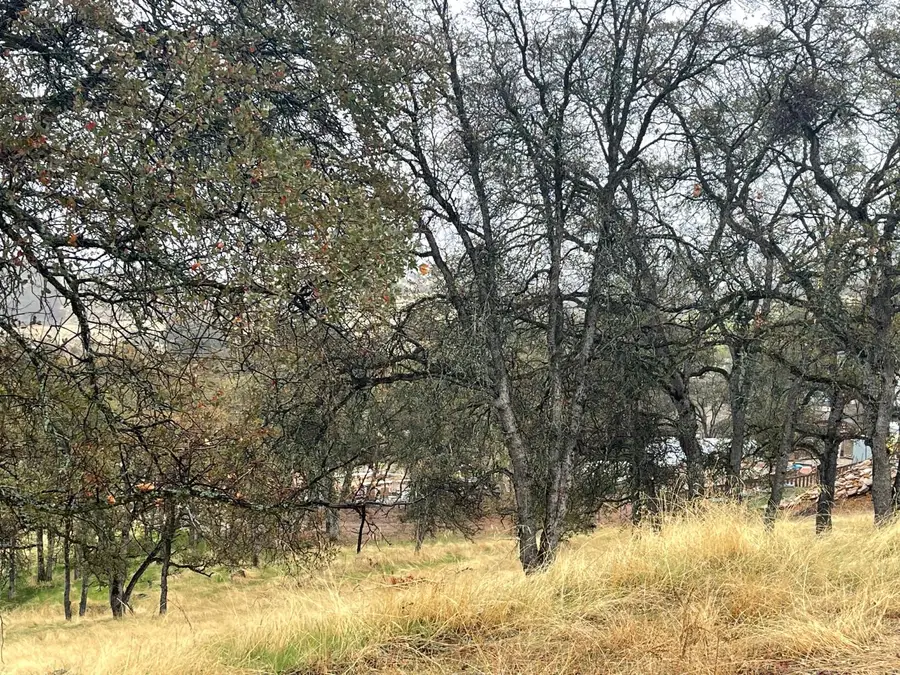 9520 Mercado, La Grange, CA 95329 - Image #3