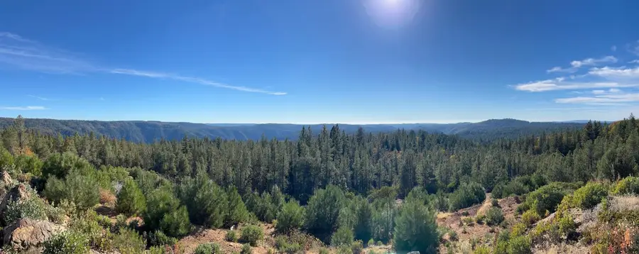 31180 Knob Cone Road, Gold Run, CA 95717 - Image #2