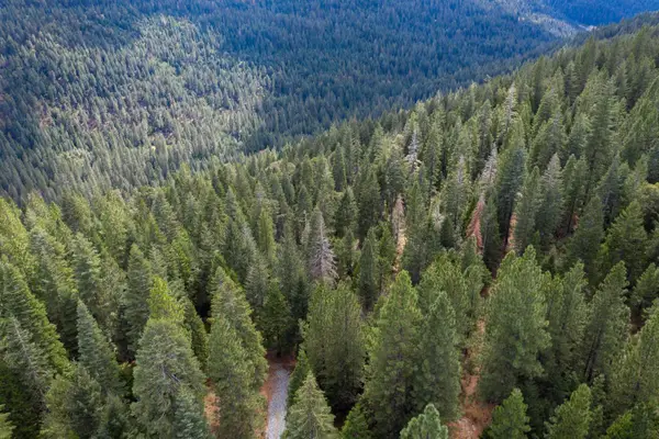 11023 Lowell Hill Rd, Nevada City, CA 95959