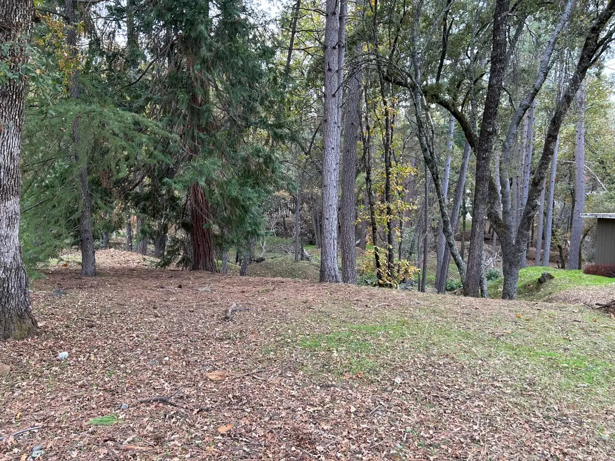 12884 Golden Trout Way, Penn Valley, CA 95946 - Image #1