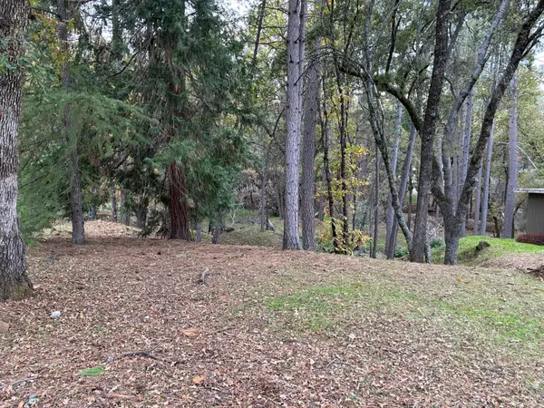 12884 Golden Trout Way, Penn Valley, CA 95946