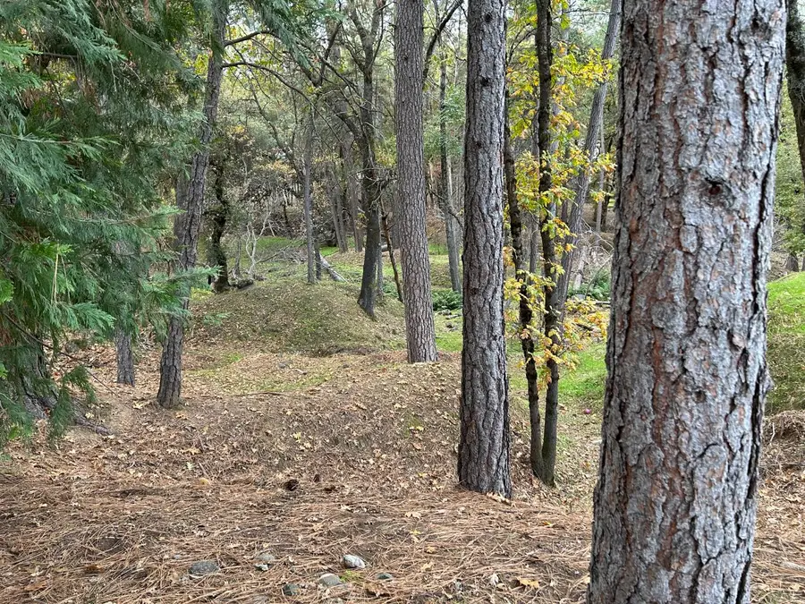 12884 Golden Trout Way, Penn Valley, CA 95946 - Image #2