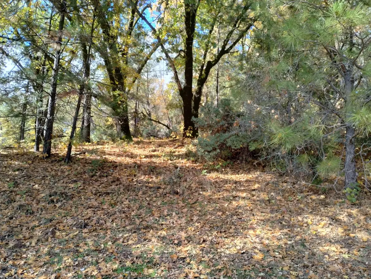 15814 Auburn Road, Grass Valley, CA 95949 - Image #1