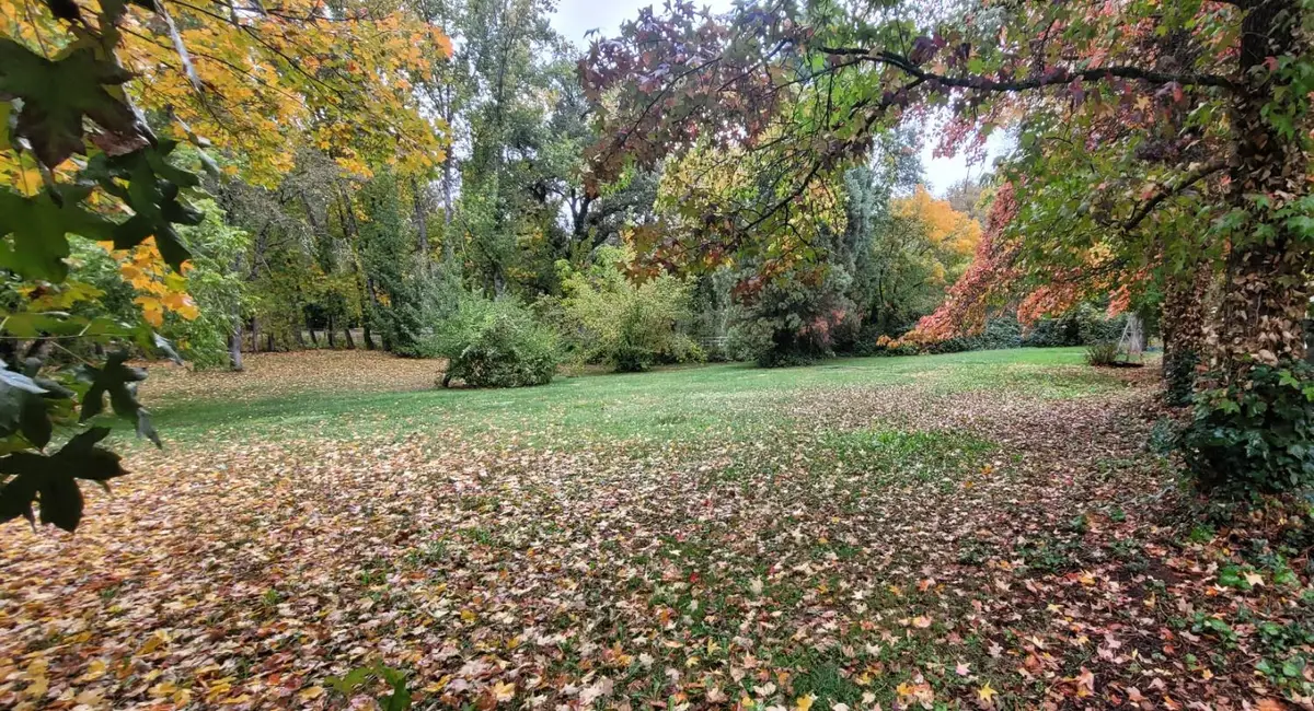 10077 Bar Hill Road, Penn Valley, CA 95946 - #1