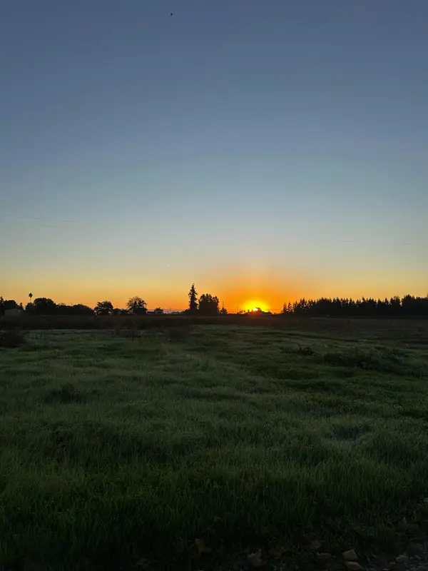 21376 N Dutchess Lane, Acampo, CA 95220