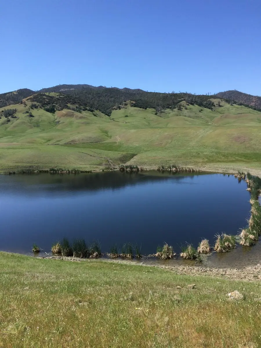 0 County Road 306, Elk Creek, CA 95939 - Image #3